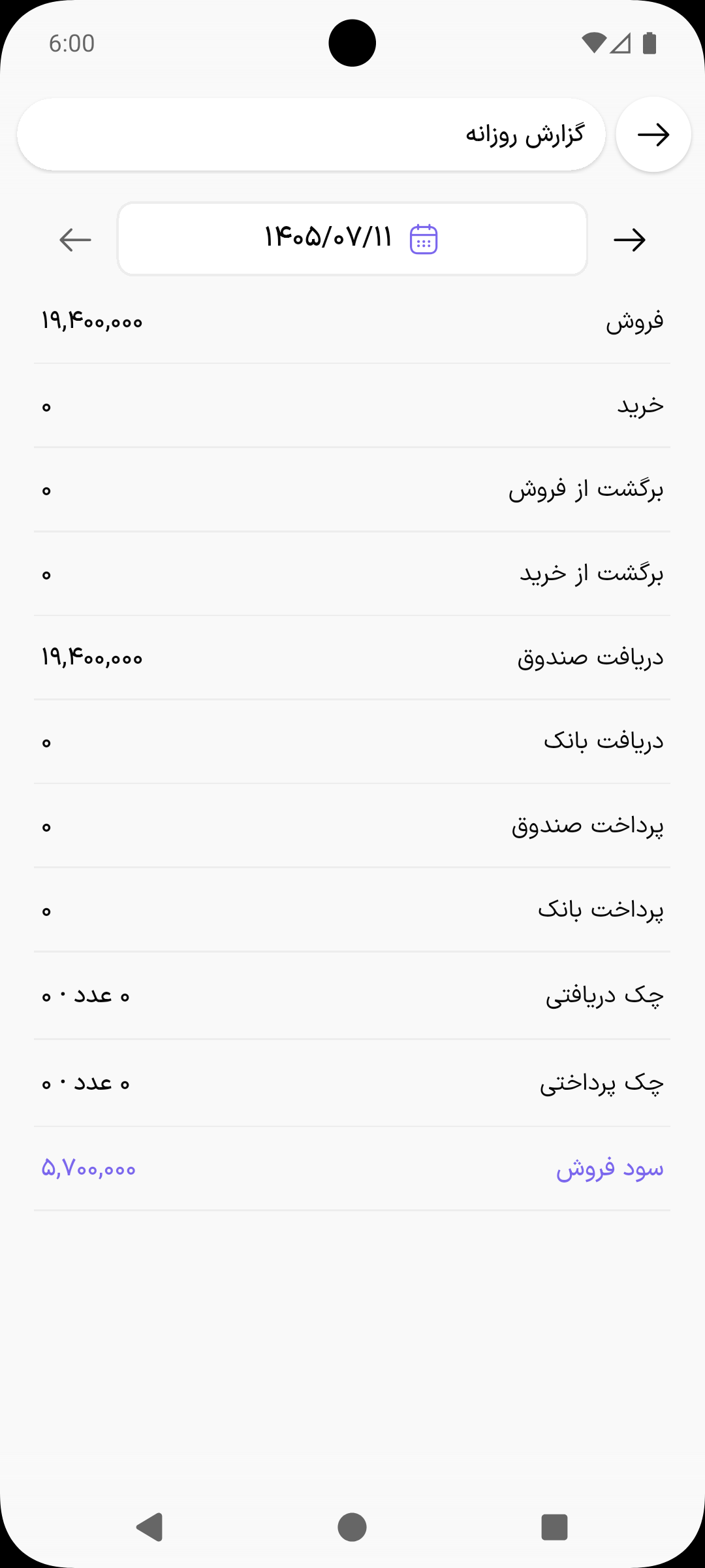 گزارش روزانه با ردیف‌های فروش، خرید، دریافت صندوق، چک دریافتی و سود فروش